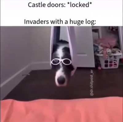 battering ram wunkus