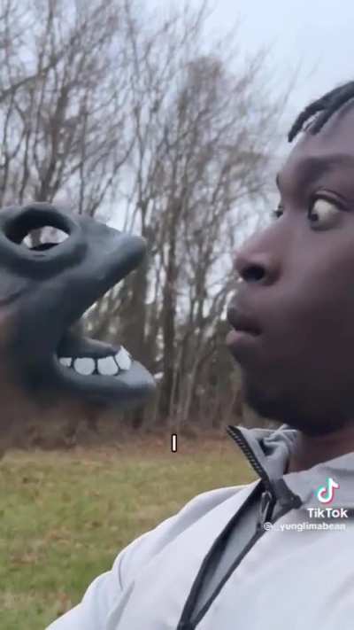 🐎