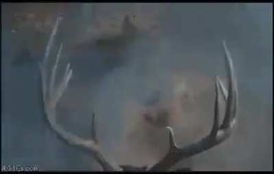 Can someone name the song?