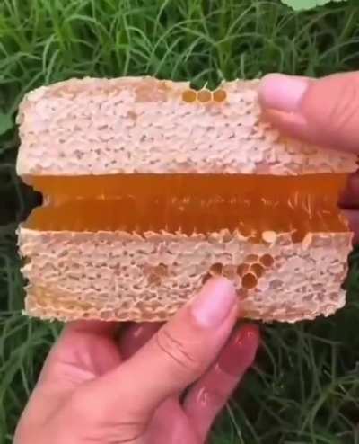 Honey combs are so satisfying
