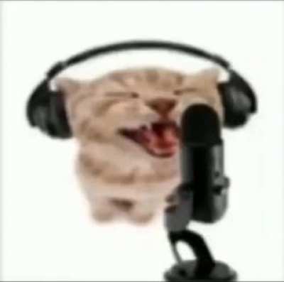 moew