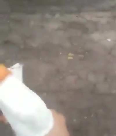 I guess this is what it looks like when a goose has a tantrum.