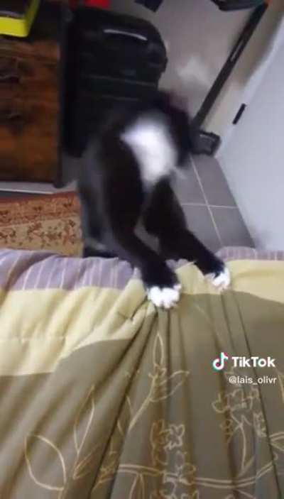 O molho