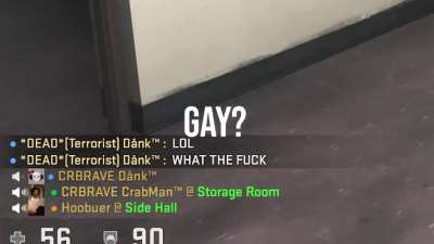 Are you gay?