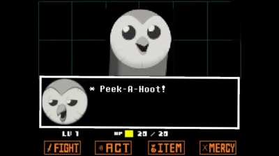 Peek-A-Hoot!