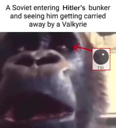 Dead sub