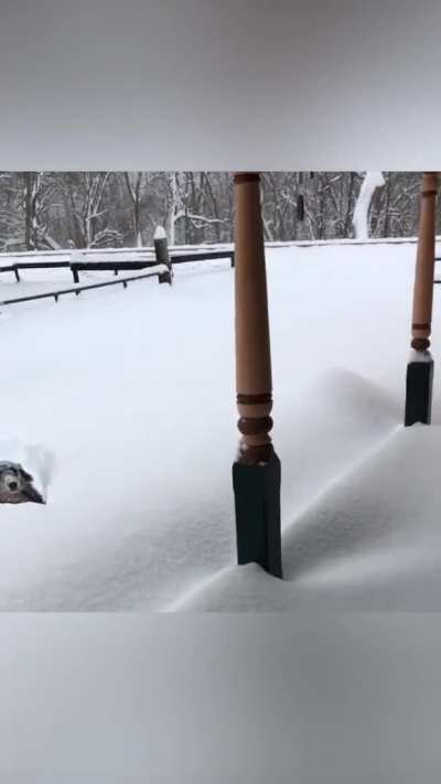 Who put dis white stuff here ?