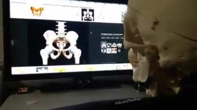 Someone posted this before but not whole vid. Enjoy