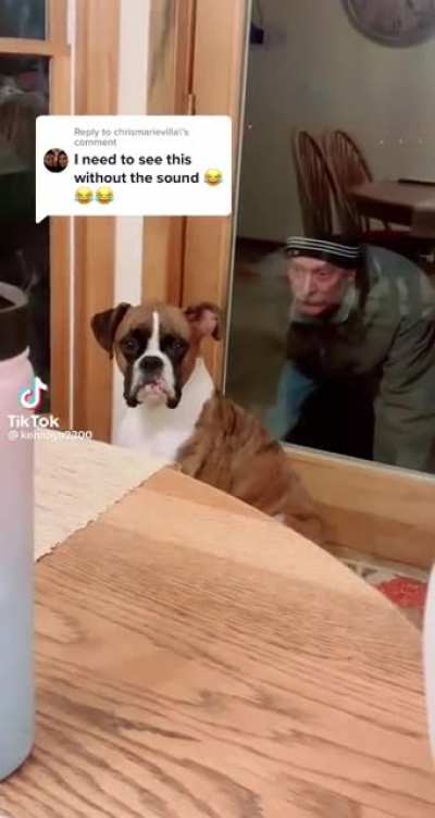 Bravest guard dog I ever did see