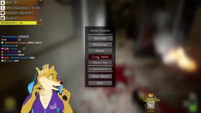 Streamer_irl