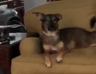 AWoooOoooOooo