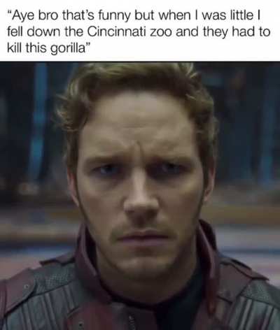 HARAMBE NOOOO