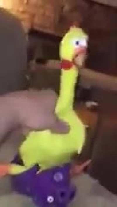 Ok né