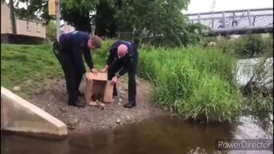 Despicable footage of Thurles Gardaí luring a load of ducks from a river and boxing them up for sale. This needs to stop.