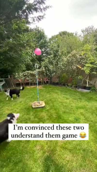 The pure joy, this is freaking awesome!!