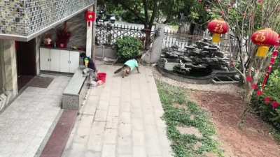 Kids drop toy in pond
