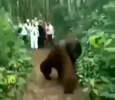 monke 2