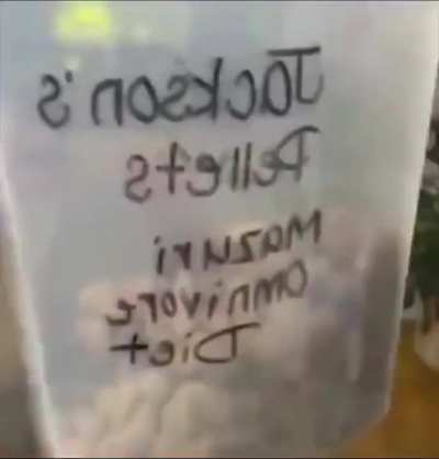 Хссс.
