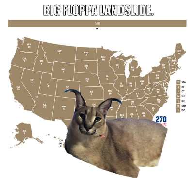 Big floppa landslide!!