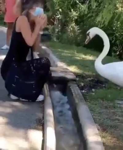 Mask up, bitch!