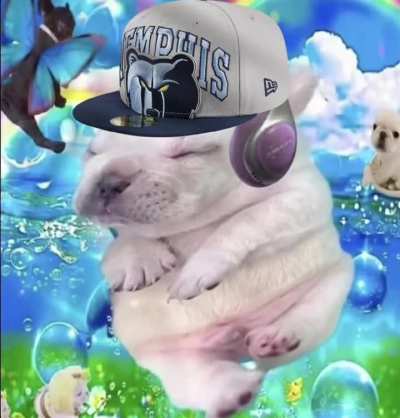 How it feels to watch Gregory Jackson slamma jamma the basketball:
