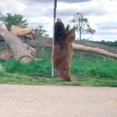 I bear no regrets.