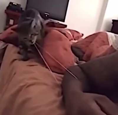 Æ