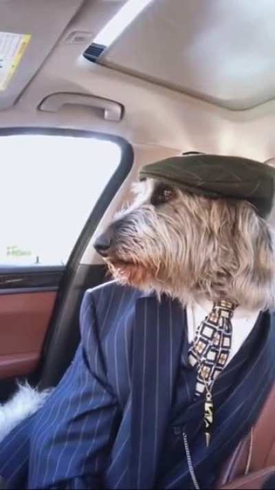 Meme de peaky blinders