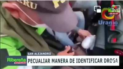 Colombian way of testing for cocaine.