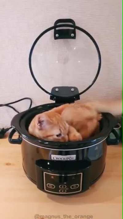 If I fits, I sits