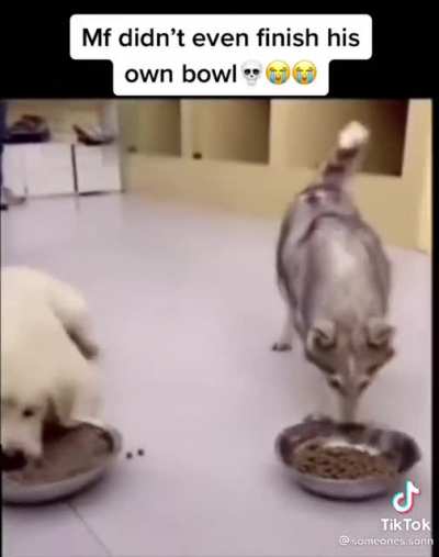 WTF