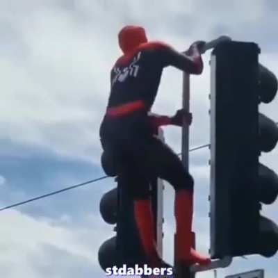 What u doin spidey??