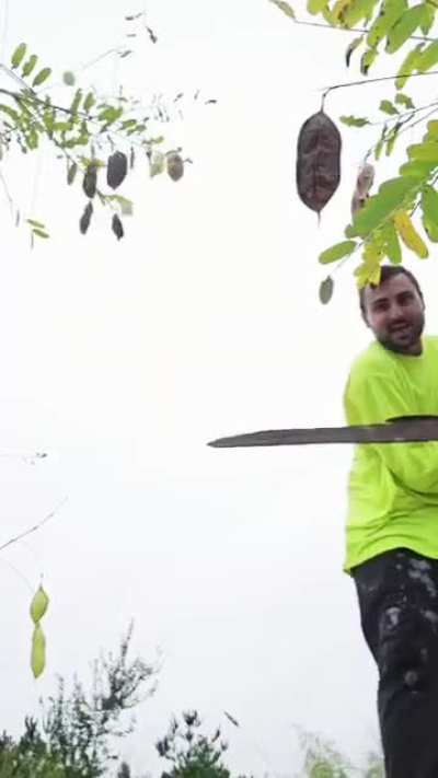 Bro discovered an epic stick