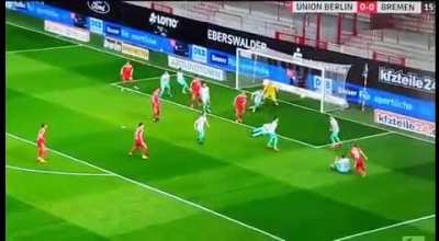 Scott Sterling irl