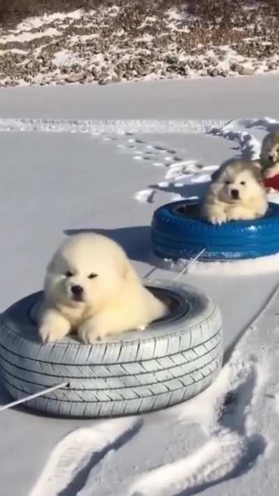 Eyebleach Express