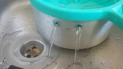 My sauce pan broke and now it won't stop crying :'(