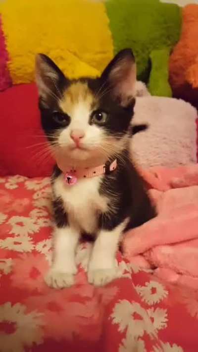 This is Fiona