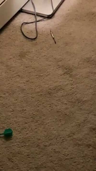 My gf and I suck at darts