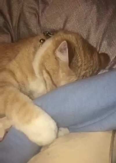 Human Its My Hand Now!