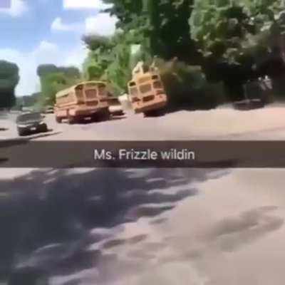 ms frizzle