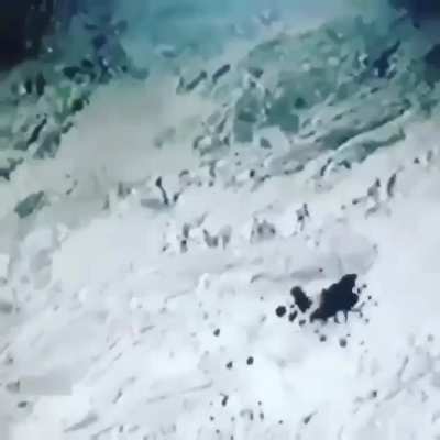 Group of Houthi militants under fire from a Saudi Bradley