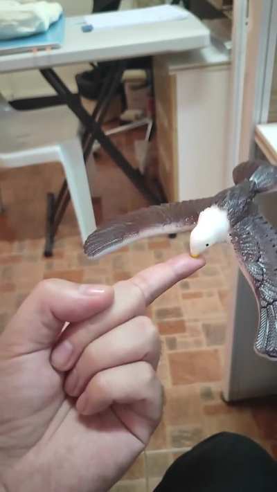 Birb.