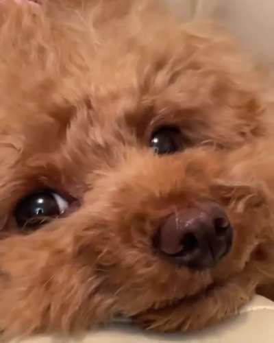 Our smiling girl 🧸