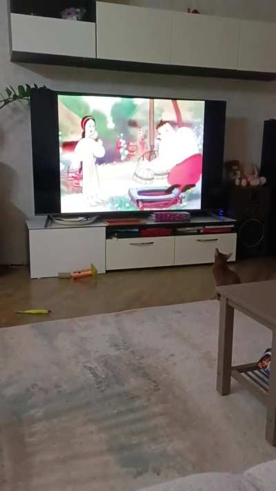 watchin cartoon about Cossacks