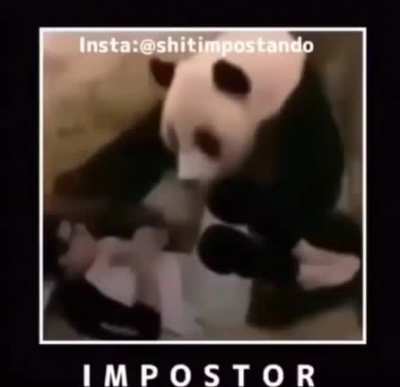 stop about sus