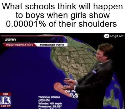 Homo erectus