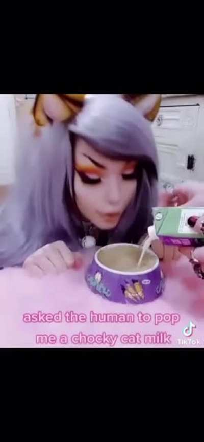 nyaa chocky cat milk xD