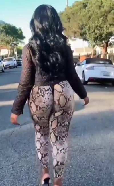 Stank walk 2