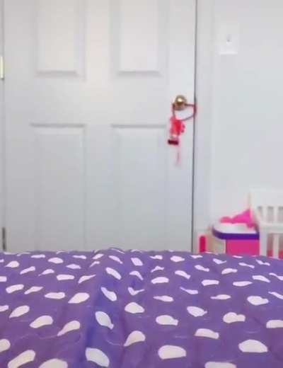 Screaming dog