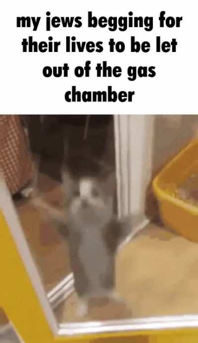 dank